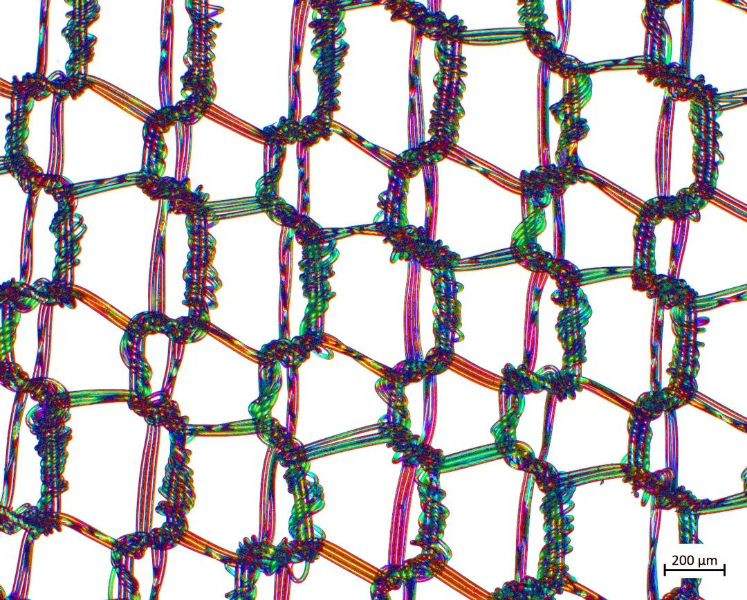 亳州蔡司场发射亳州扫描电镜