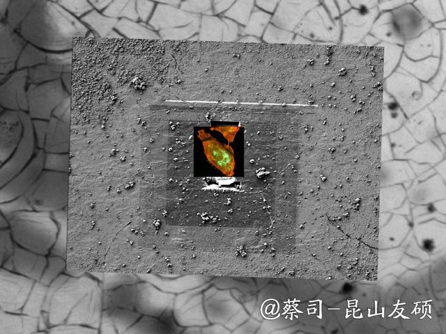 亳州亳州蔡司亳州扫描电镜