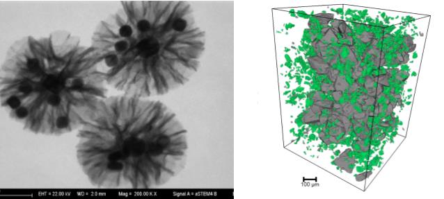 亳州亳州蔡司亳州扫描电镜
