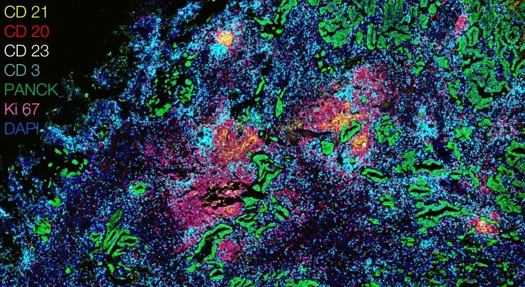 亳州亳州蔡司显微镜