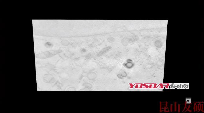 FIB亳州扫描电镜