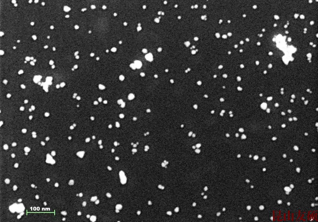亳州亳州蔡司亳州扫描电镜