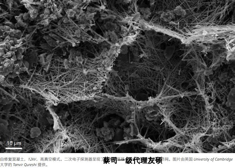 亳州亳州蔡司亳州扫描电镜