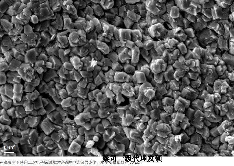 亳州亳州蔡司亳州扫描电镜