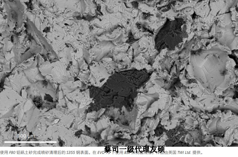 亳州亳州蔡司亳州扫描电镜EVO