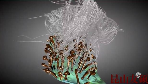 亳州蔡司亳州X射线显微镜